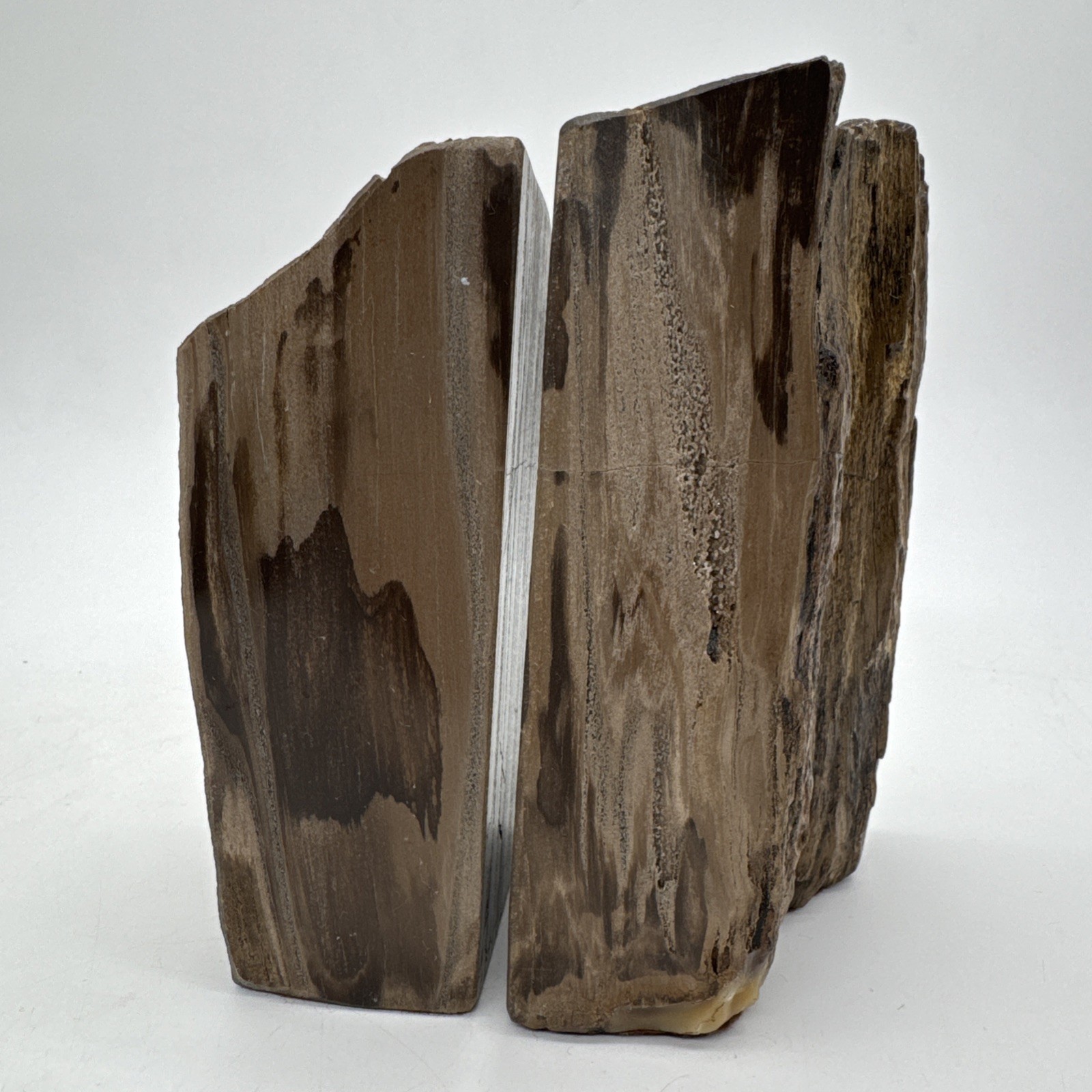 Rare Set Of Mirrored PNW Conifer Petrified Wood Bookends 2 Side Polished Felt Rare Set Of Mirrored PNW Conifer Petrified Wood Bookends 2 Side Polished Felt