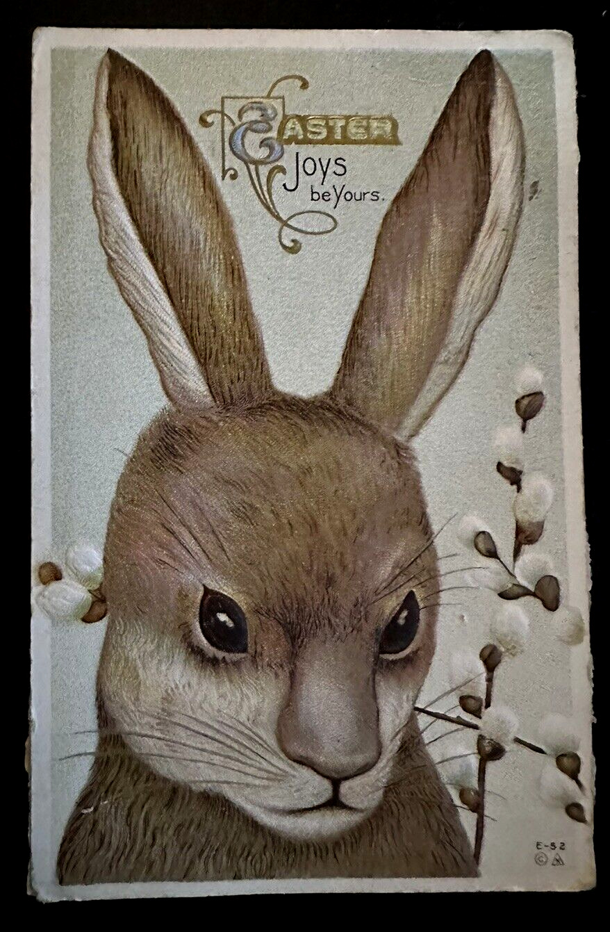 CUTE~BIG BROWN BUNNY RABBIT w/ PUSSY WILLOW~FLOWERS~ANTIQUE EASTER POSTCARD~h-24