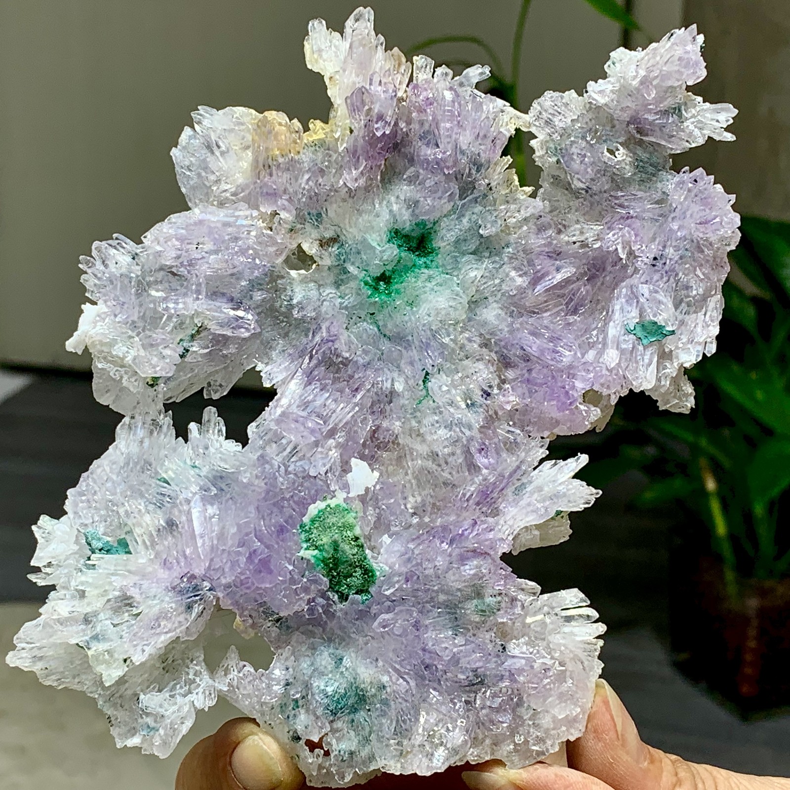 256G Natural Vision Amethyst quartz cluster crystal druzy mineral specimen