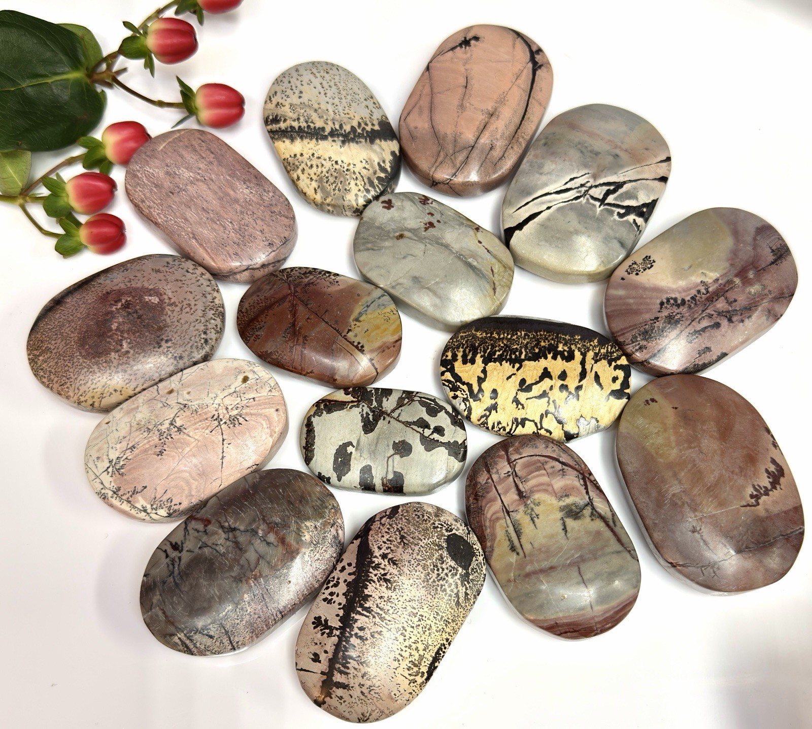 Wholesale 2 Lb Lot Natural Picture Jasper Palm Stone Crystal Energy