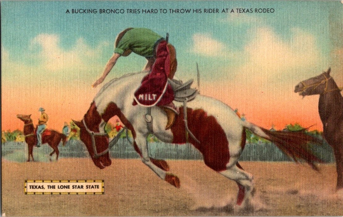 Vintage Texas Rodeo Bucking Bronco Postcard MWM Curteich Lone Star State Vintage Texas Rodeo Bucking Bronco Postcard MWM Curteich Lone Star State