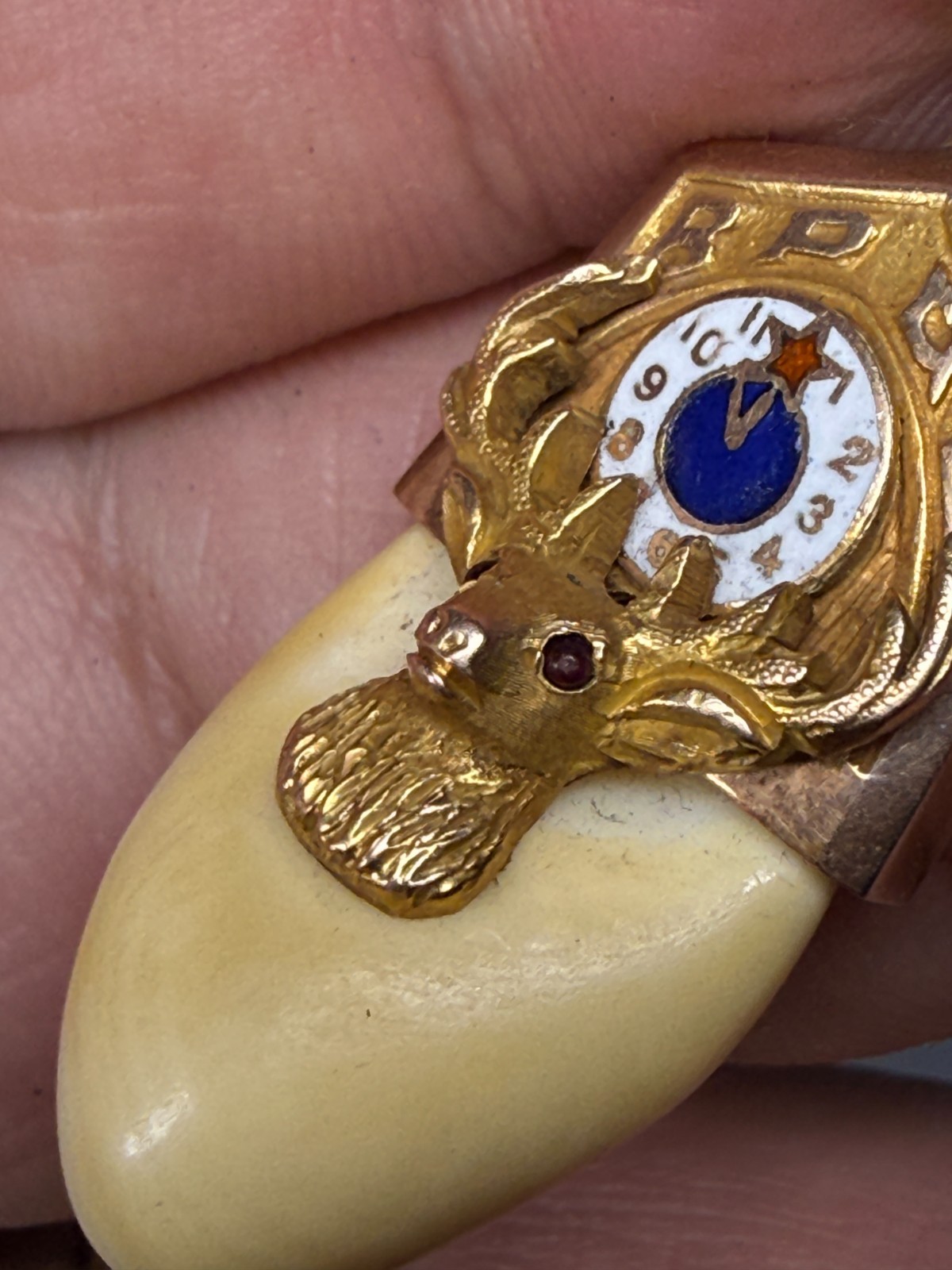 Antique 10k Elks Tooth Fob Pendant Benevolent Protective Order of Elks BPOE