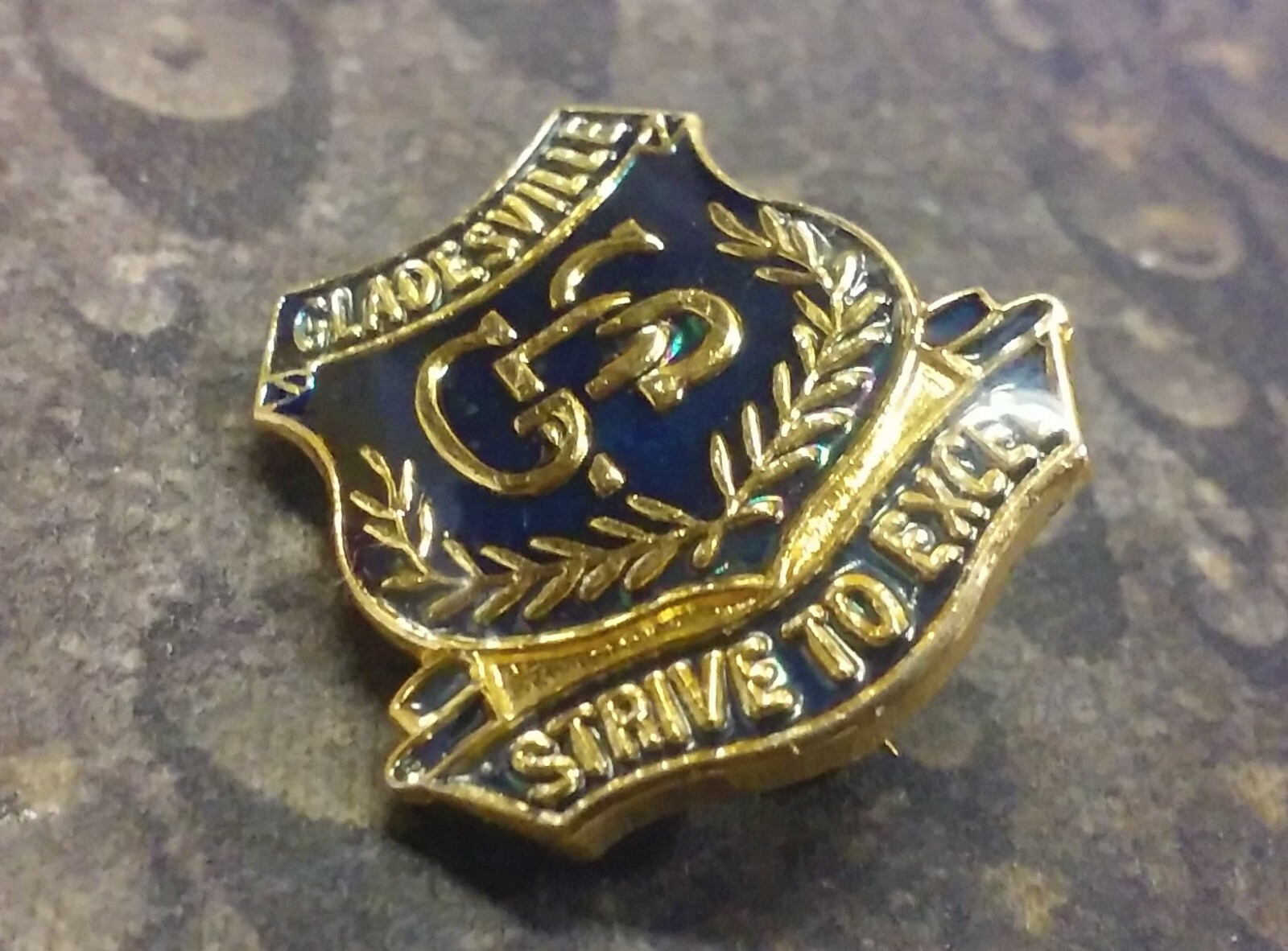 GPS Gladesville Public School vintage pin badge NSW Australia