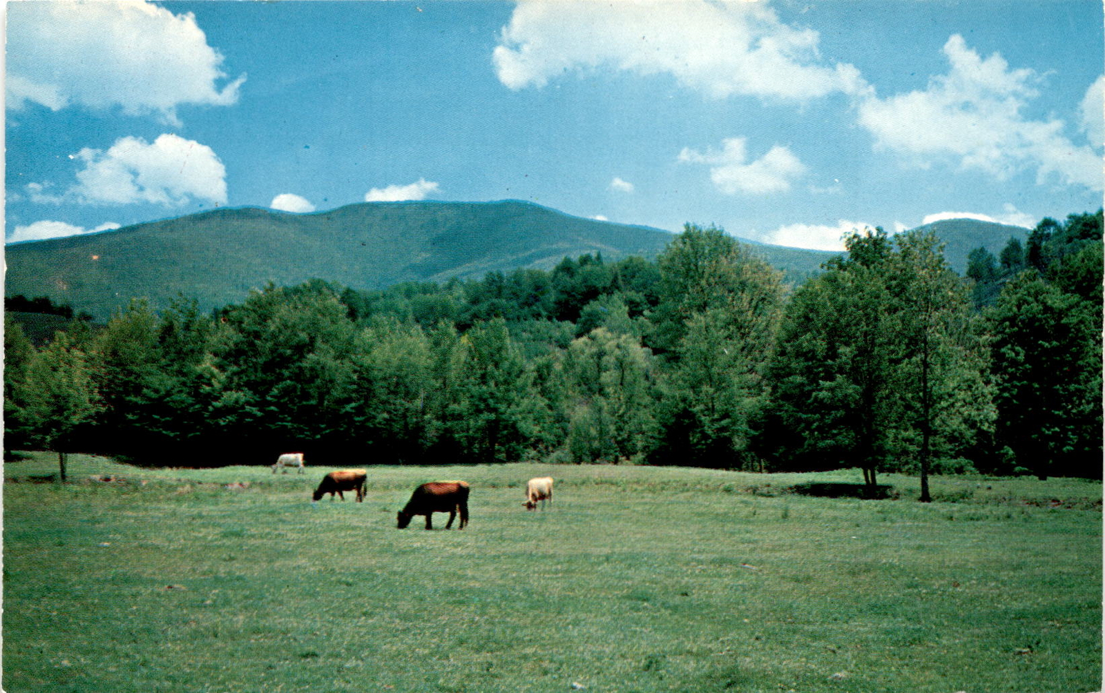 Abingdon, Va, Southwest Virginia, Blue Ridge Mountains, COLOURPICTURE Postcard