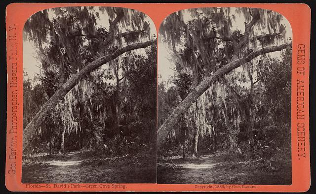 Florida - St. David\'s Park - Green Cove Spring  Old Historic Photo