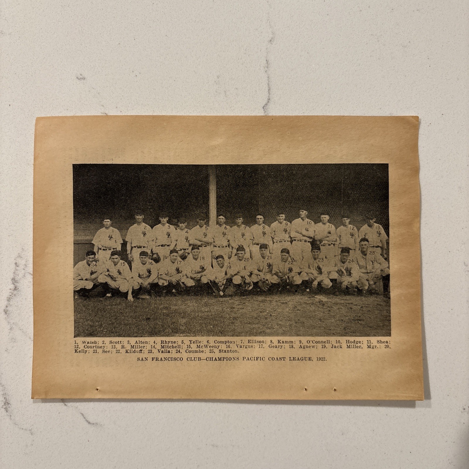 1922 San Francisco CA Baseball Team Picture Pacific League Champions Rare