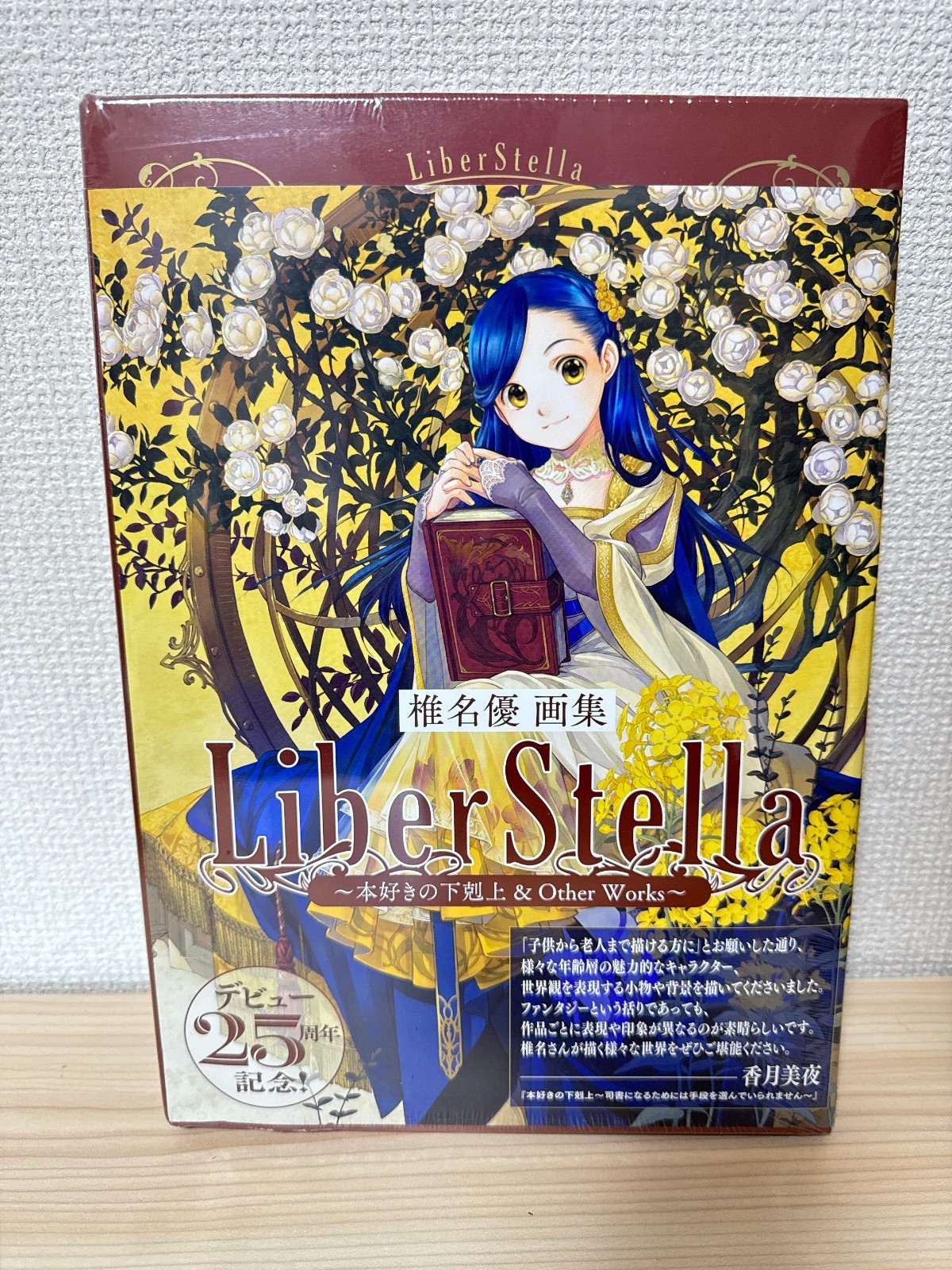 You Shiina Ascendance of a Bookworm & Other Works Standard Edition Japan Book
