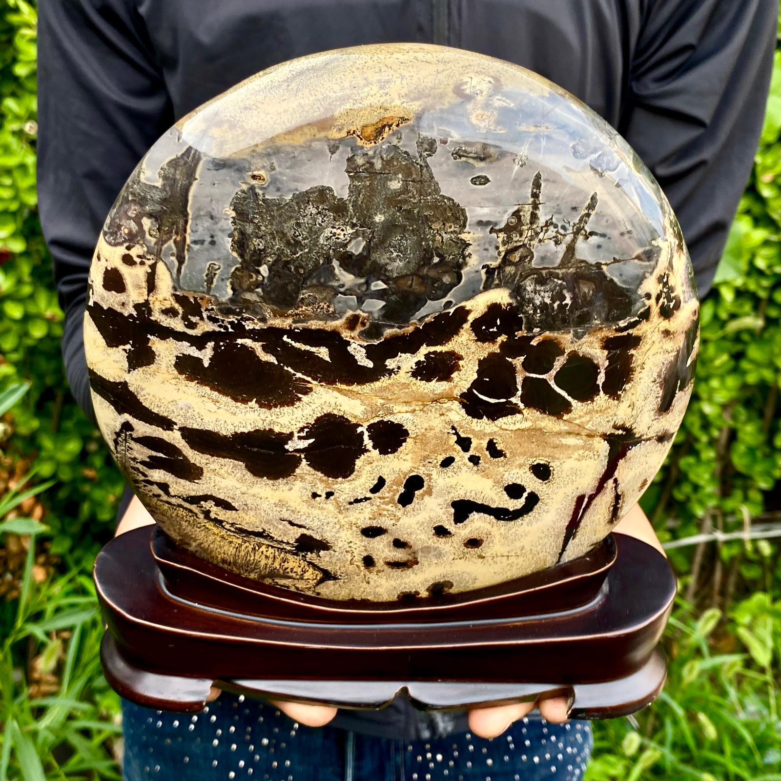 5.51LB Beautiful Natural Chinese Dendritic Limestone Picture Stone Guohua -Rare