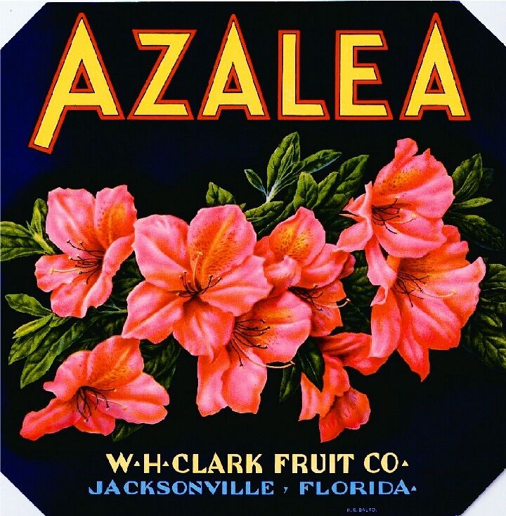 Jacksonville Florida Azalea Flowers Orange Citrus Fruit Crate Label Art Print