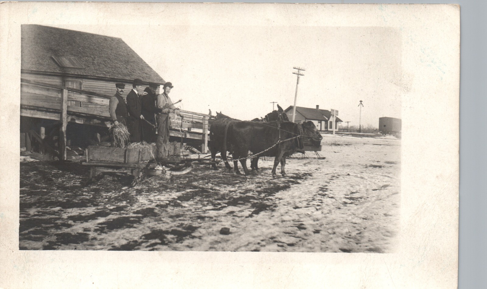 GUYS RIDING OX-DRAWN WAGON real photo postcard rppc silly train depot scene