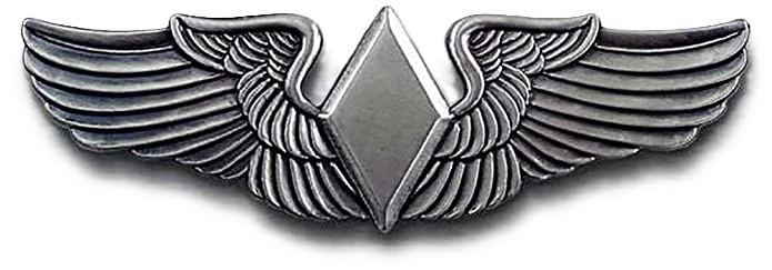 WASP PILOT WINGS WWII WOMENS AIR FORCE SERVICE PILOTS Gray Badge Pin