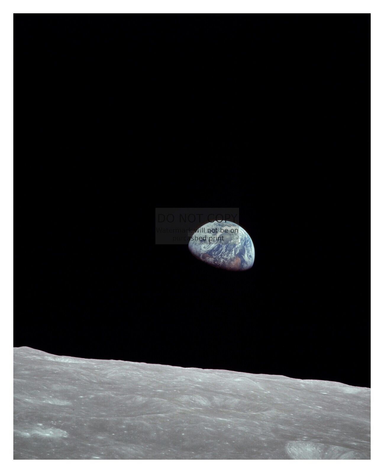 APOLLO 8 EARTHRISE FROM THE MOON 8X10 NASA PHOTO