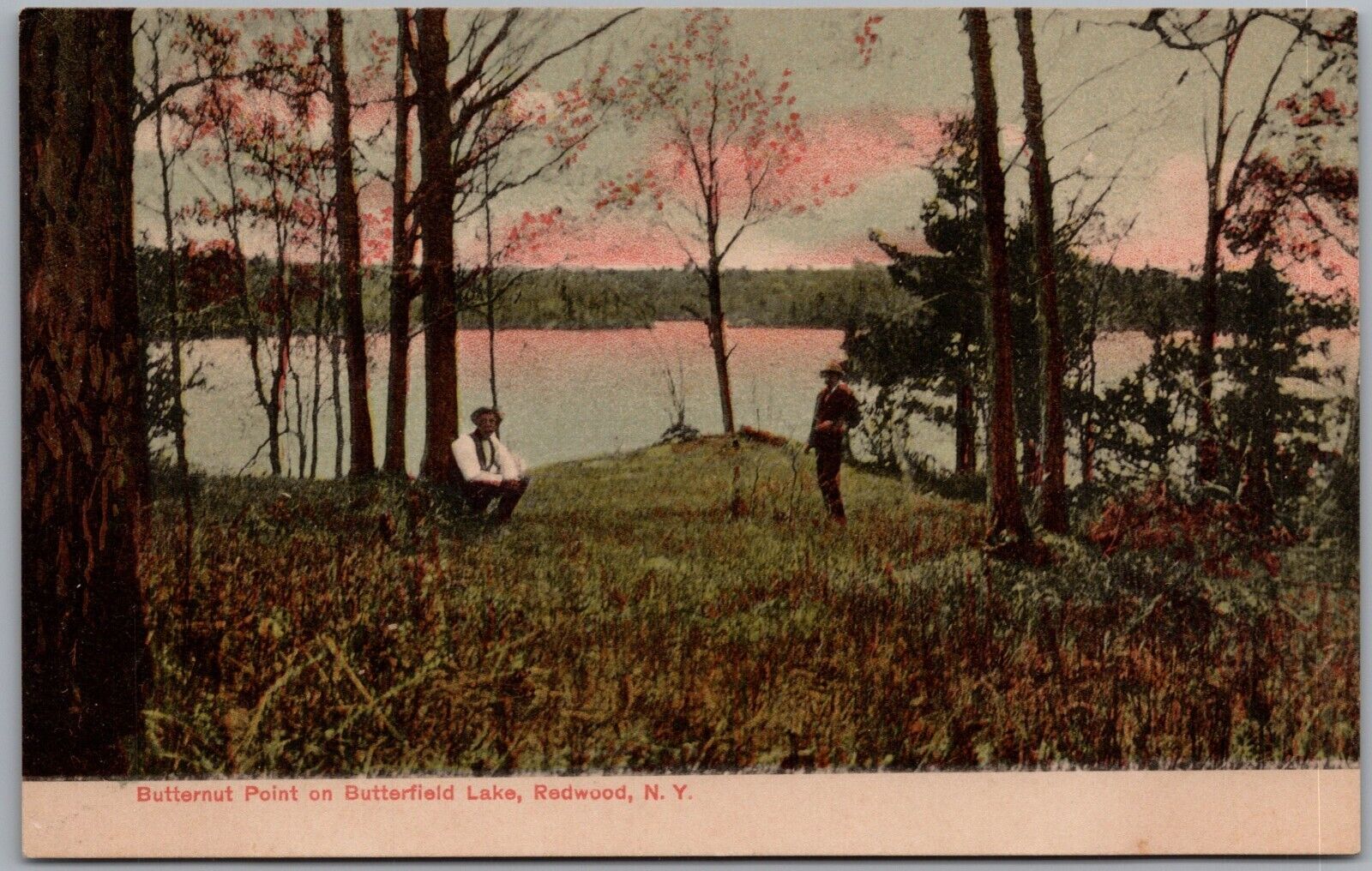 Butternut Point Butterfield Lake Redwood New York Postcard W349