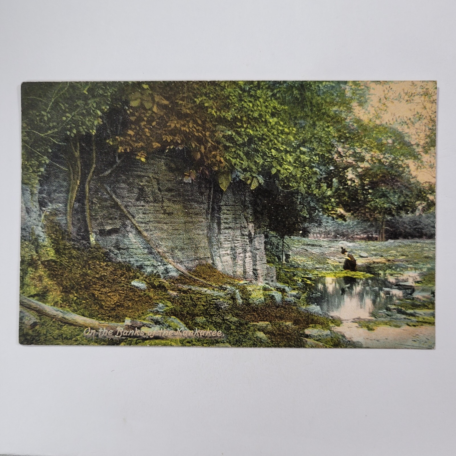 On The Banks Of The Kankaee River Illinois IL 1908 Postcard Woman Vintage Dress