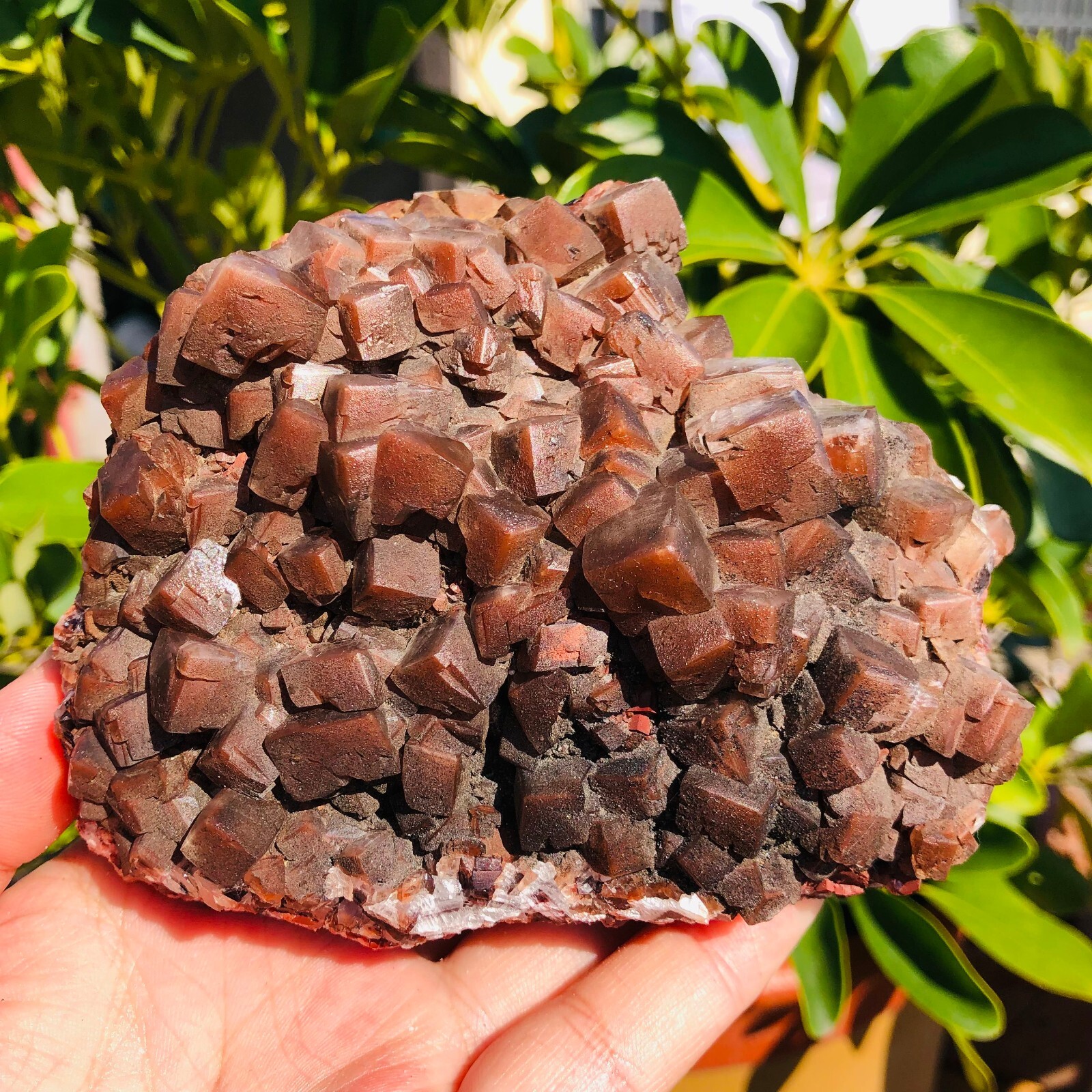 1.63lb Natural Chocolate Calcite Coarse Quartz Crystal Mineral Specimen Healing