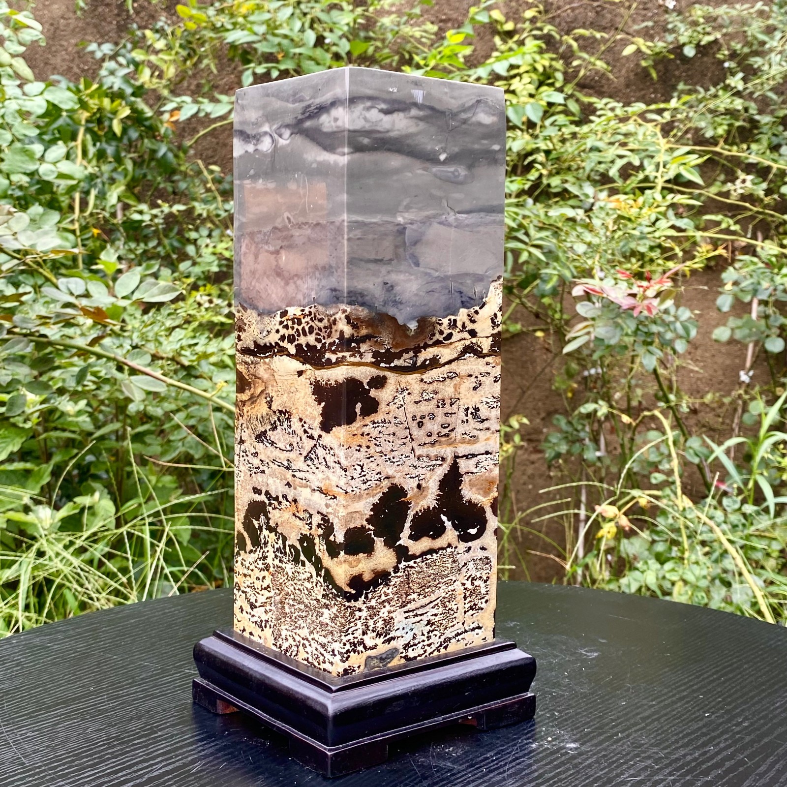 17.6LB  Rare National Treasure Fossil - Authentic Collectible Stone Specimen