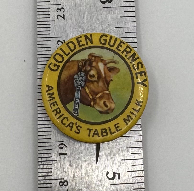 Vintage Golden Guernsey America’s Table Milk Celluloid Advertising Button