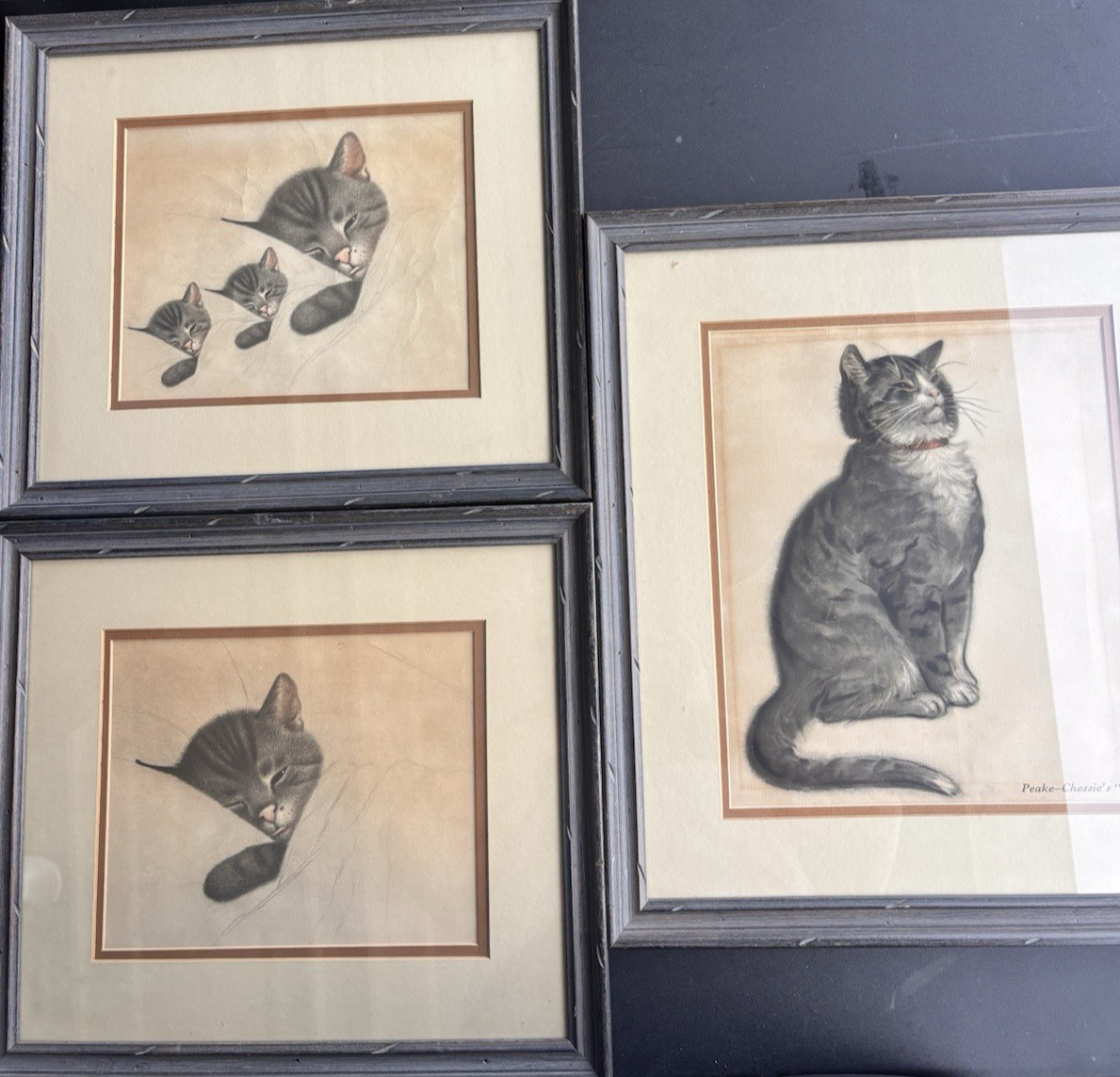 Chessie The Cat  Kitten Peake Framed Prints Chesapeake Ohio Railroad Set of 3