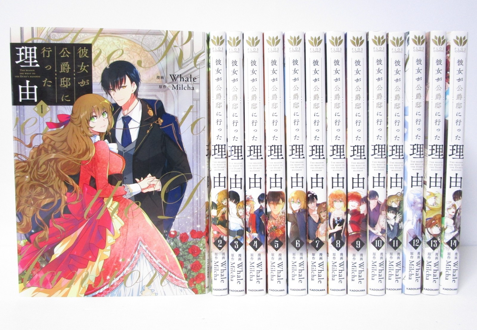 The Reason Why Raeliana Ended up at the Duke\'s Mansion Vol.1-14 Manga Set