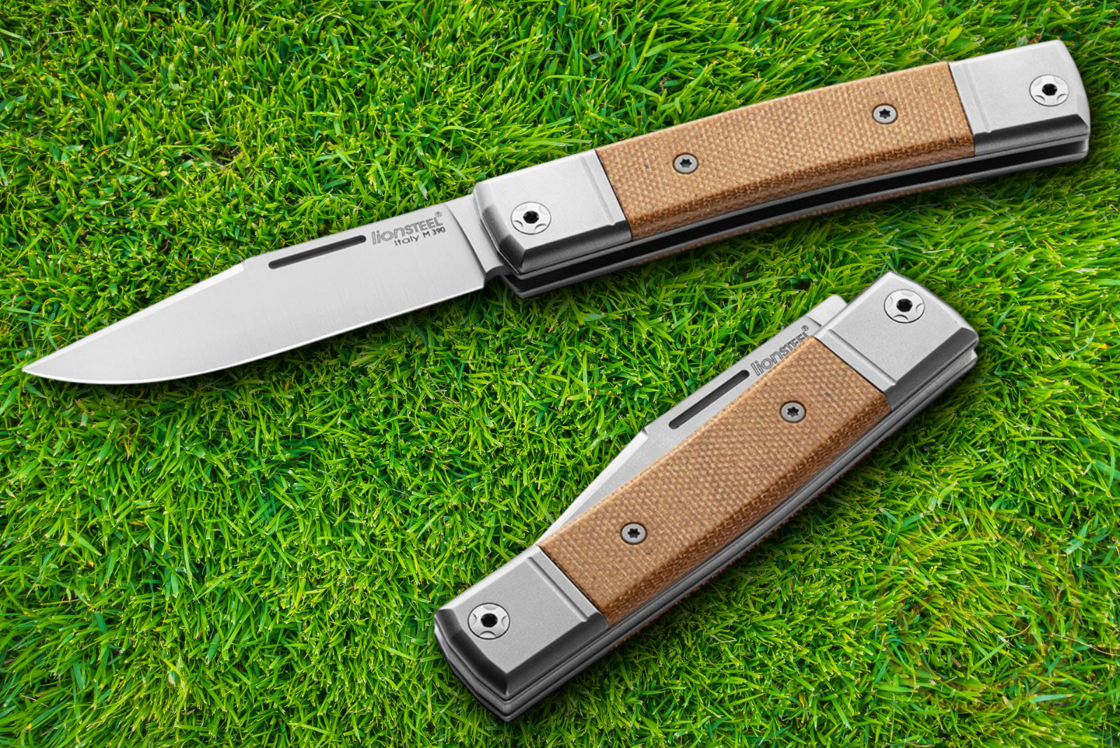LionSTEEL BestMan BM1 Folding Knife 2.75\