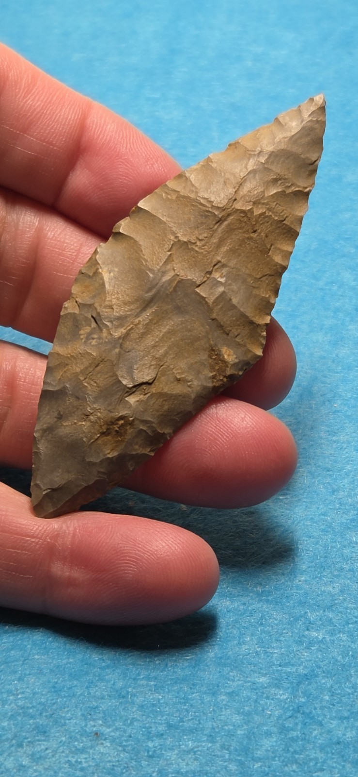HARAHEY BEVELED BLADE MICHIGAN Authentic Arrowheads PLAINS Artifacts Collection