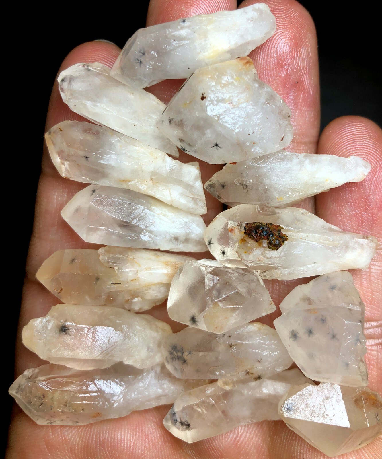 55g 15PCS RARE Natural Hollandite Star Quartz CRYSTAL Point &Trapiche Hair c387