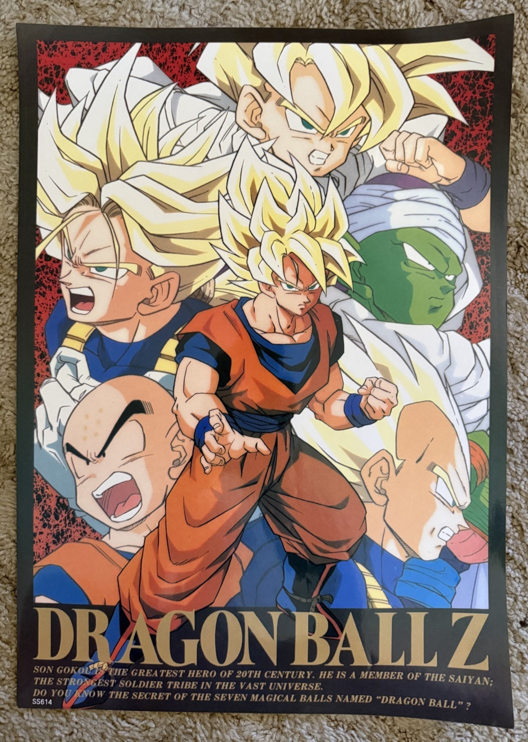 Dragon Ball Z poster 21\