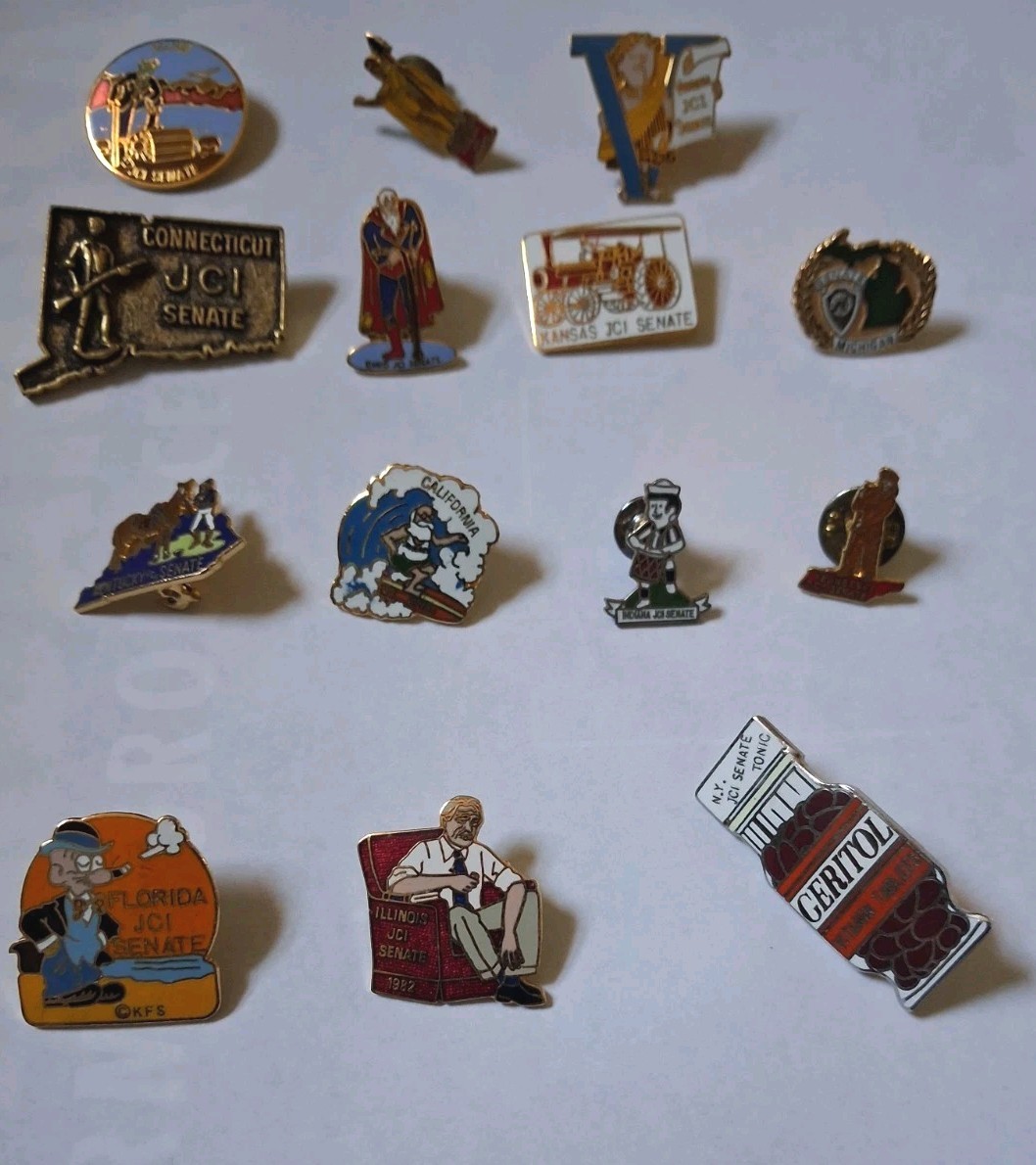 Lot of 14 Rare Vintage State JCI Senate Pins Mixed Enamel Political T