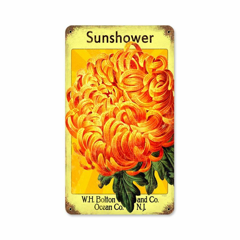 SUNSHOWER FLOWER SEEDS W H BOLTON 14\ SUNSHOWER FLOWER SEEDS W H BOLTON 14\