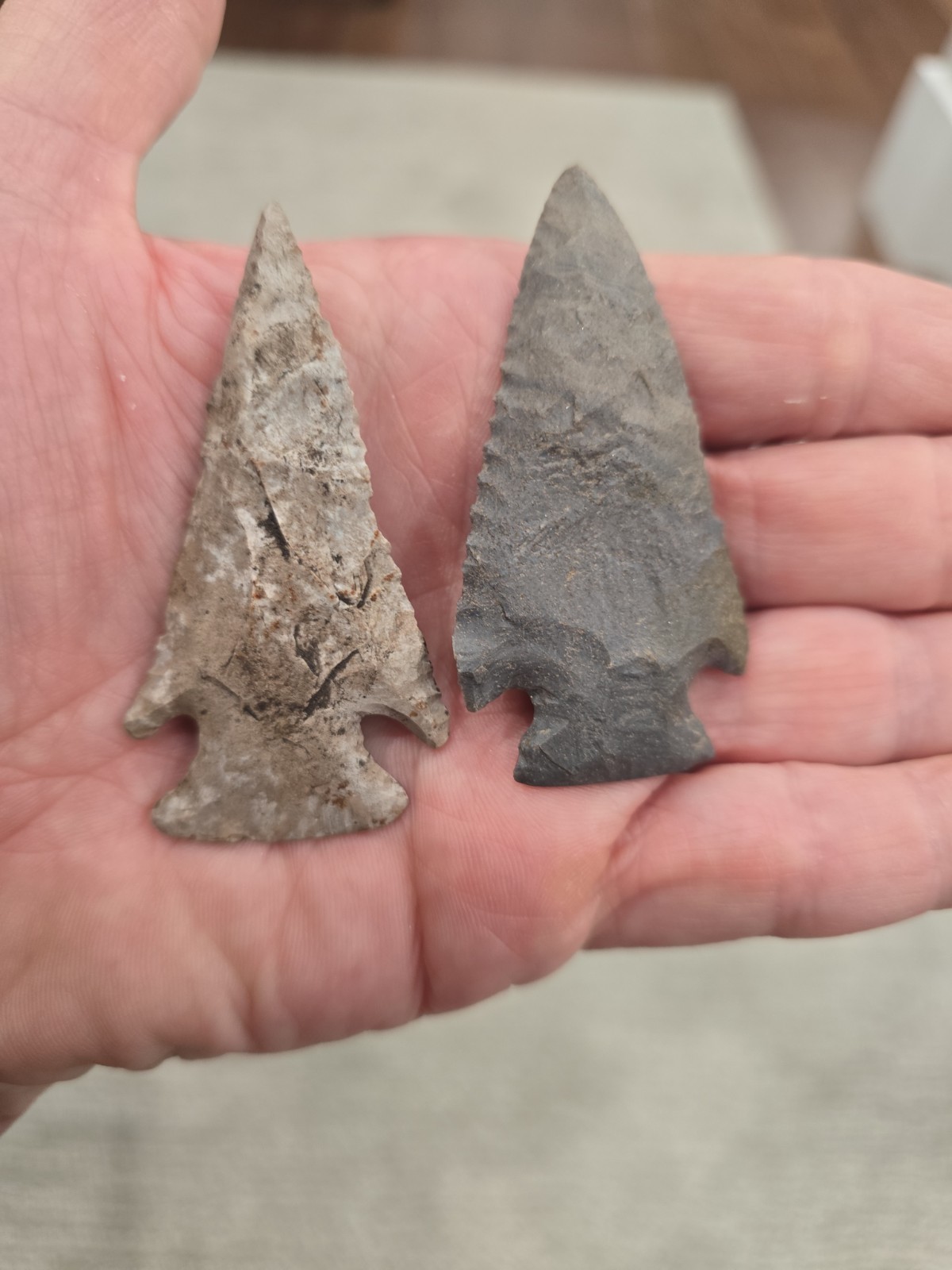 Pair of Pinetree Points- Excellent