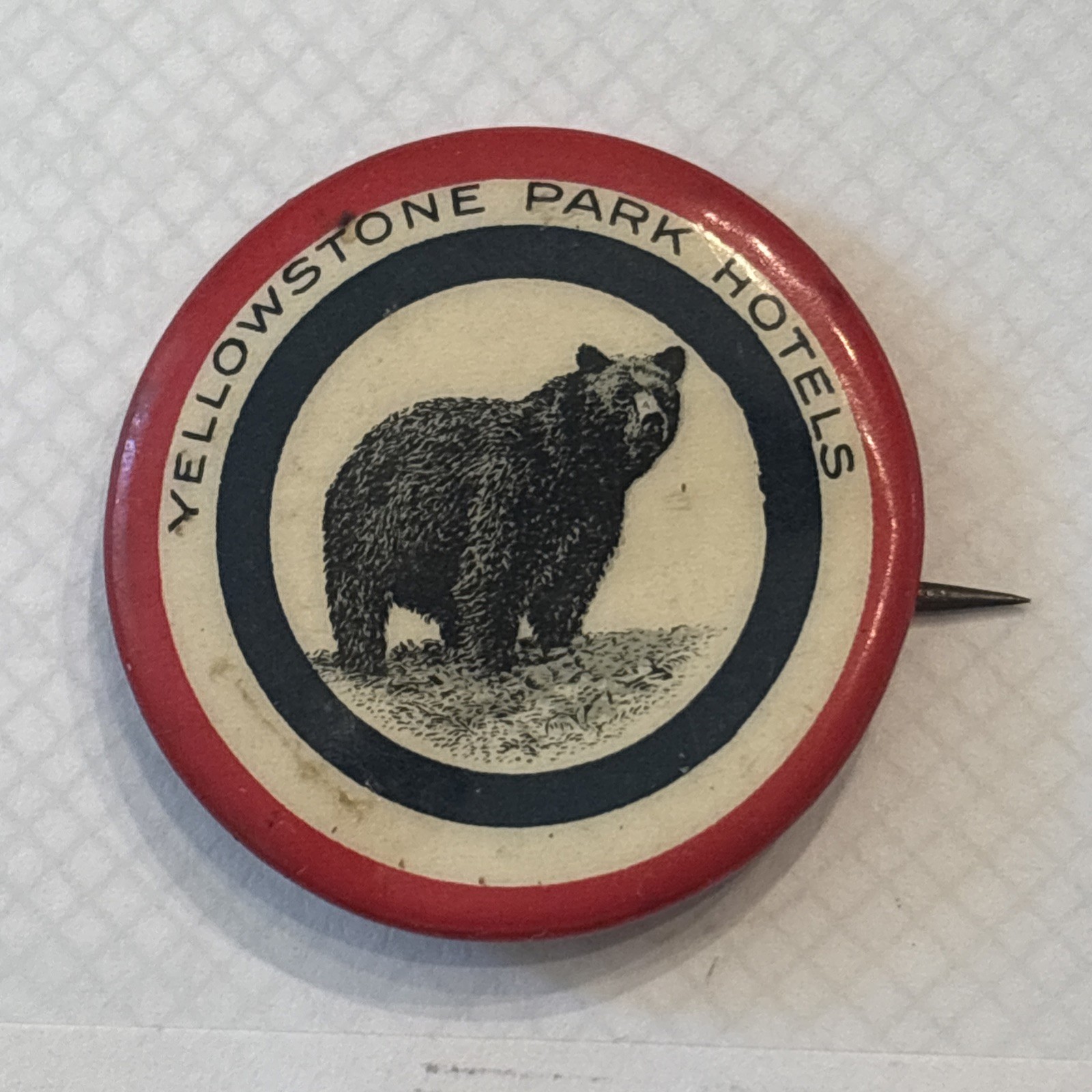 Vintage Rare Yellowstone Park Hotels Grizzly Bear Button 1930’s? Whitehead Hoag