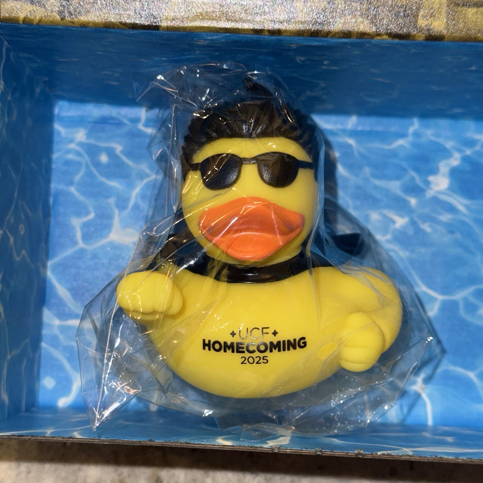 2025 UCF University Of Central Florida Homecoming Spirit Splash Rubber Duck NEW 