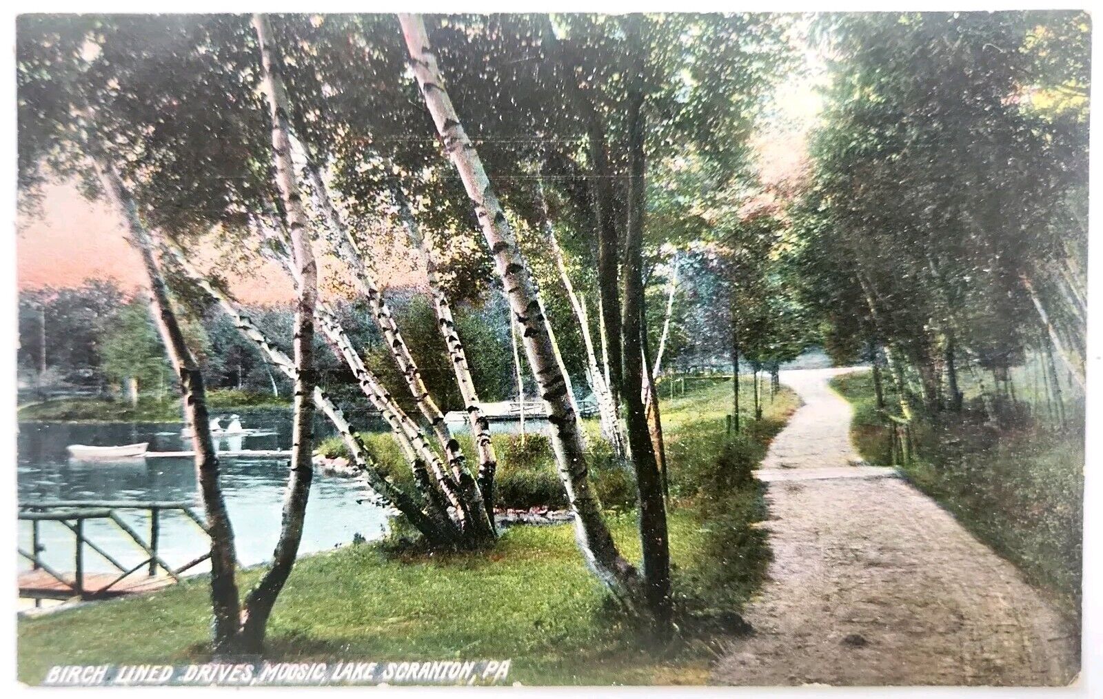 Scranton PA Moosic Lake Birch Lined Drives Postcard       pc249