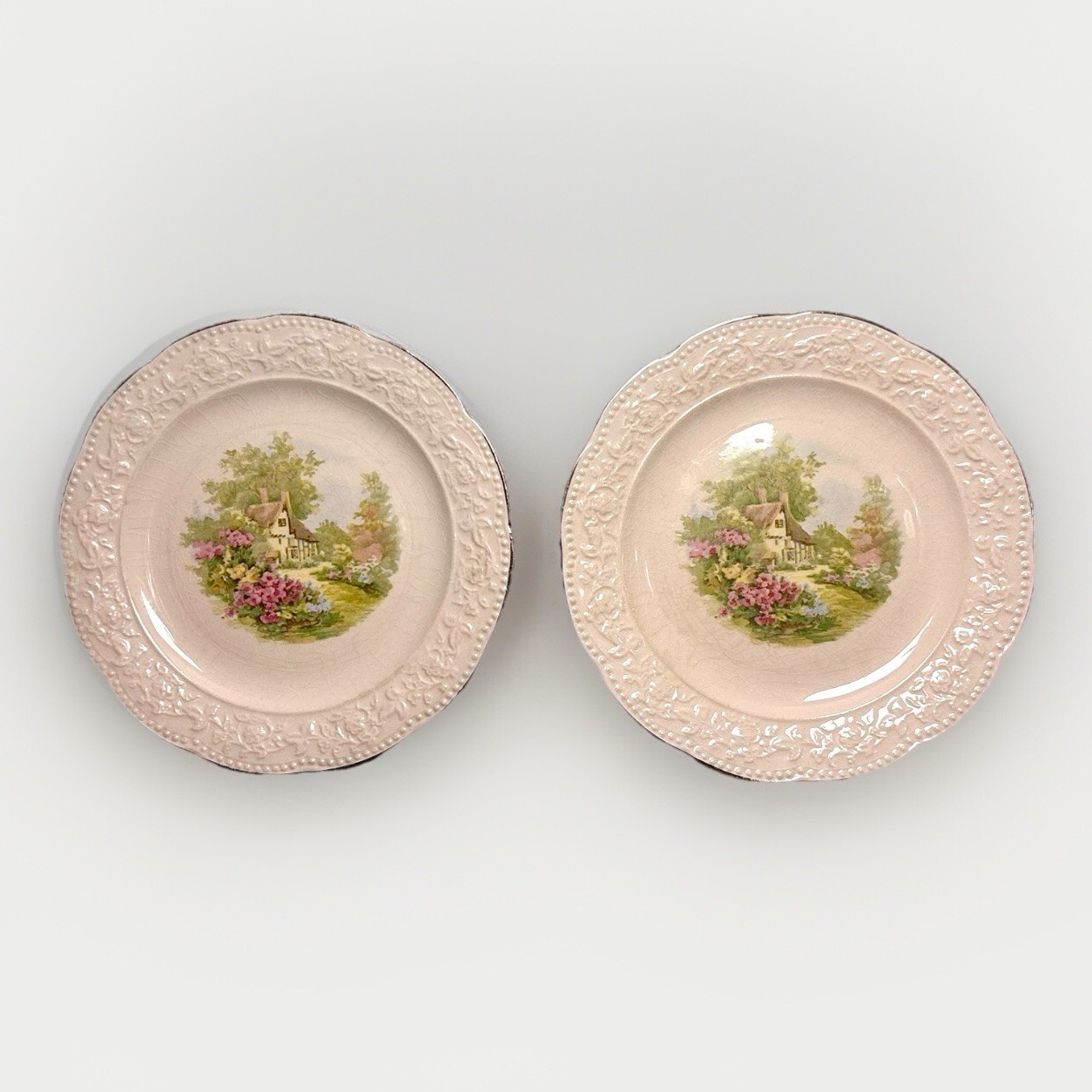 Rare Edwin M. Knowles 6-Inch Roselace 82-9 Plates, Vintage (Set of 2) Rare Edwin M. Knowles 6-Inch Roselace 82-9 Plates, Vintage (Set of 2)
