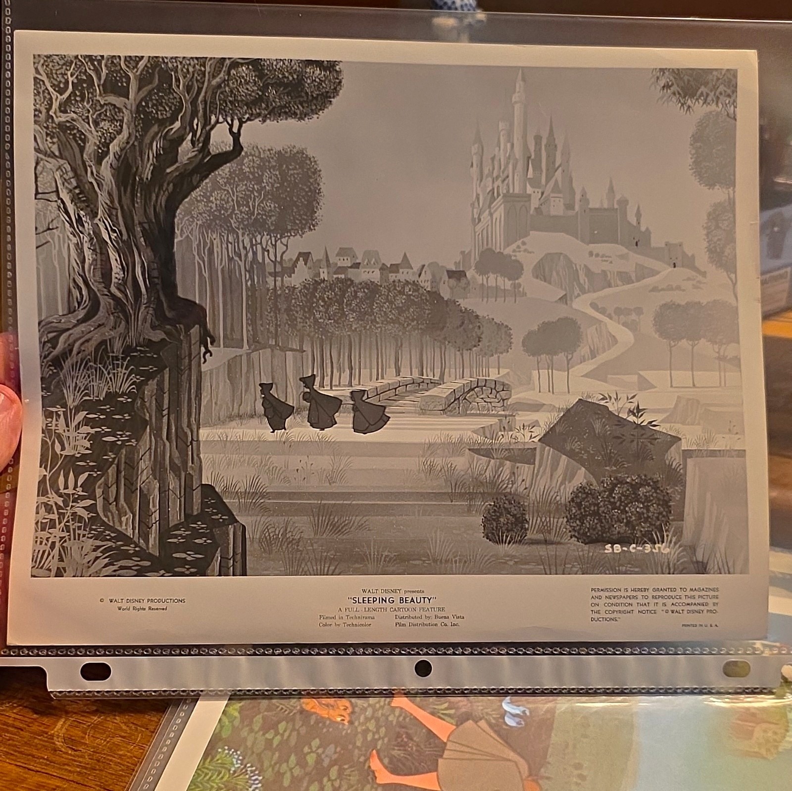 Disney Sleeping Beauty Photograph Three Good Fairies 1950s
