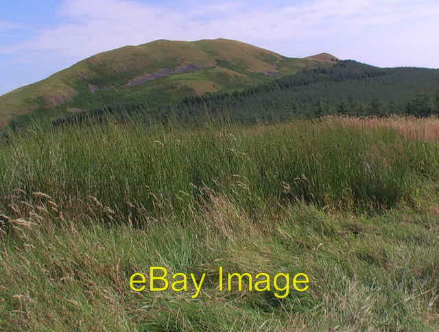 Photo 6x4 View north-east from forest clearance above Pier Burn Edgerston c2008