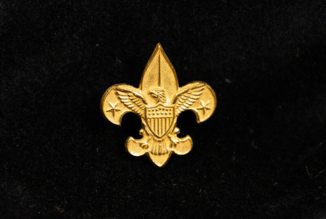 Vintage Boy Scouts of America BSA 1911 Fleur De Lis Pin