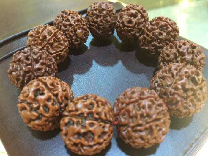 8 Mukhi / Face 18mm Diameter Rudraksha Bracelet Java Indonesia Jenitri Beads