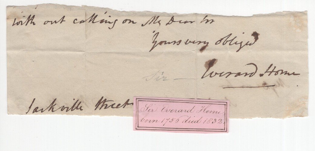 Everard Home 1756-1832 Signed Clip Autograph Surgeon King George III Ichthyosaur
