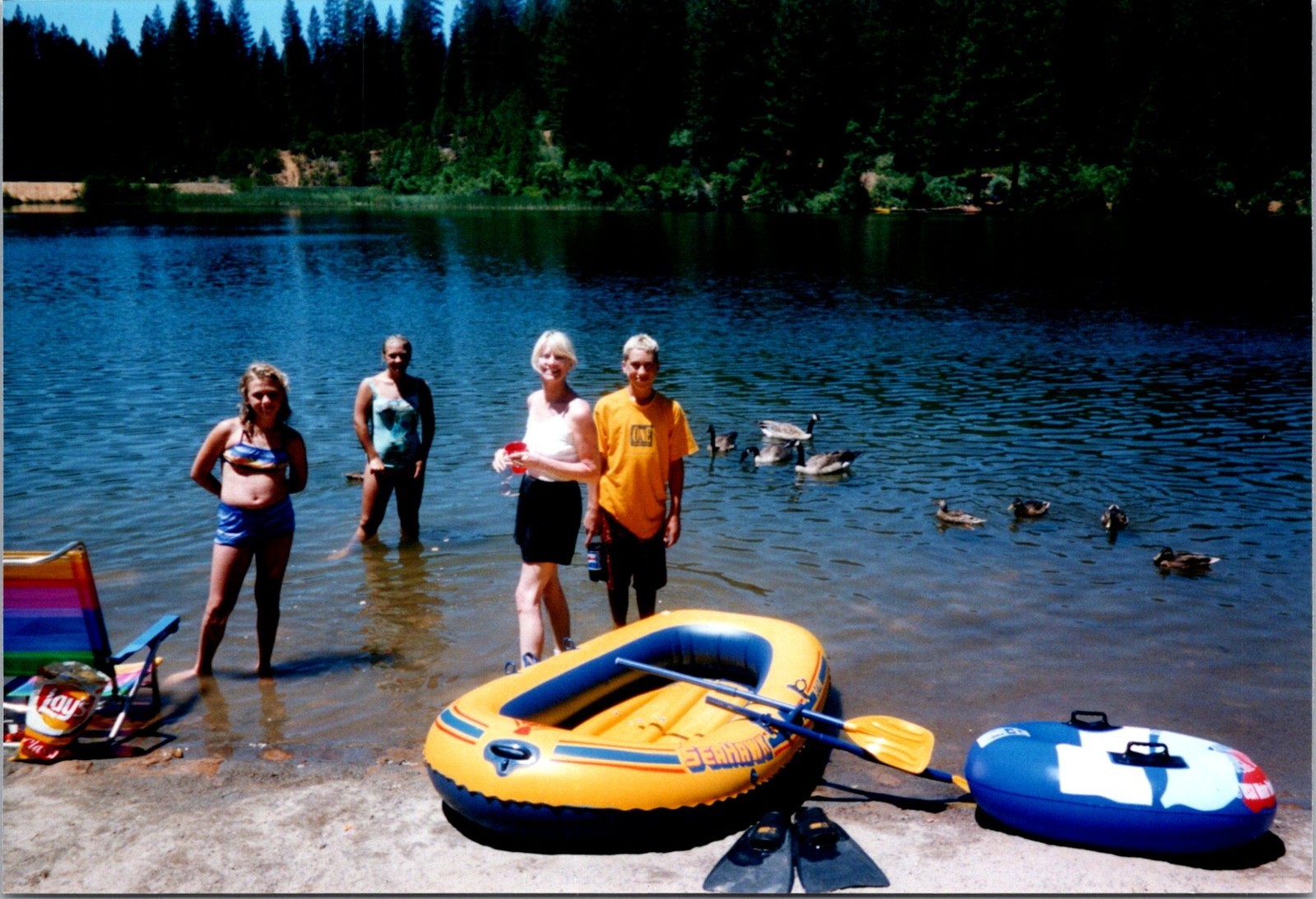 People Standing In The Lake With Ducks Found Photo V2261