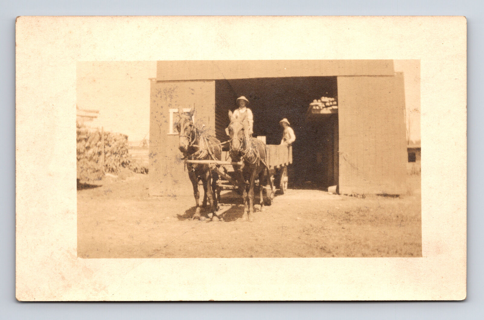RPPC Two Farmers on Two Horse Drawn Cart Wagon Postcard
