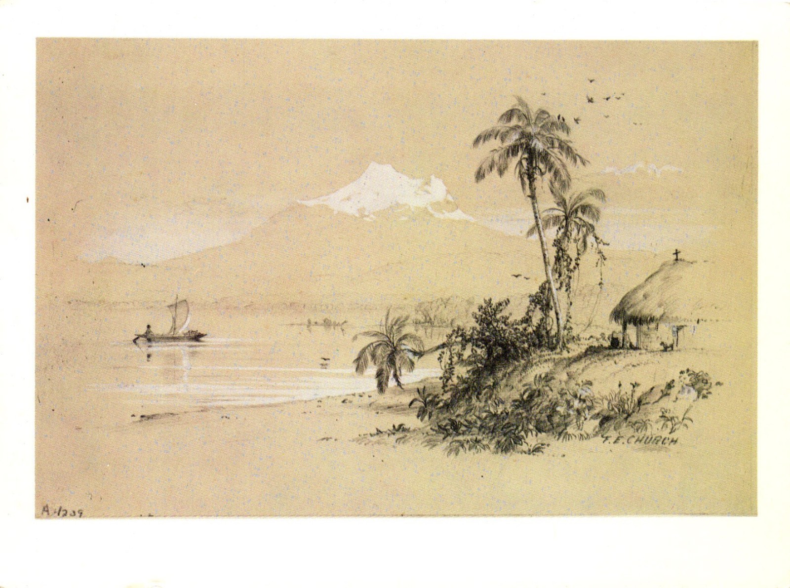 Frederic Edwin Church Magdalena River New Granada Postcard