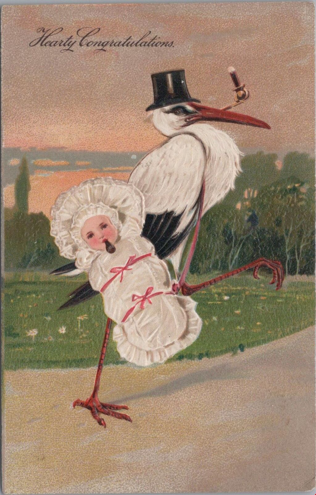 Postcard Birth Announcement Hearty Congratulations Stork New Baby 