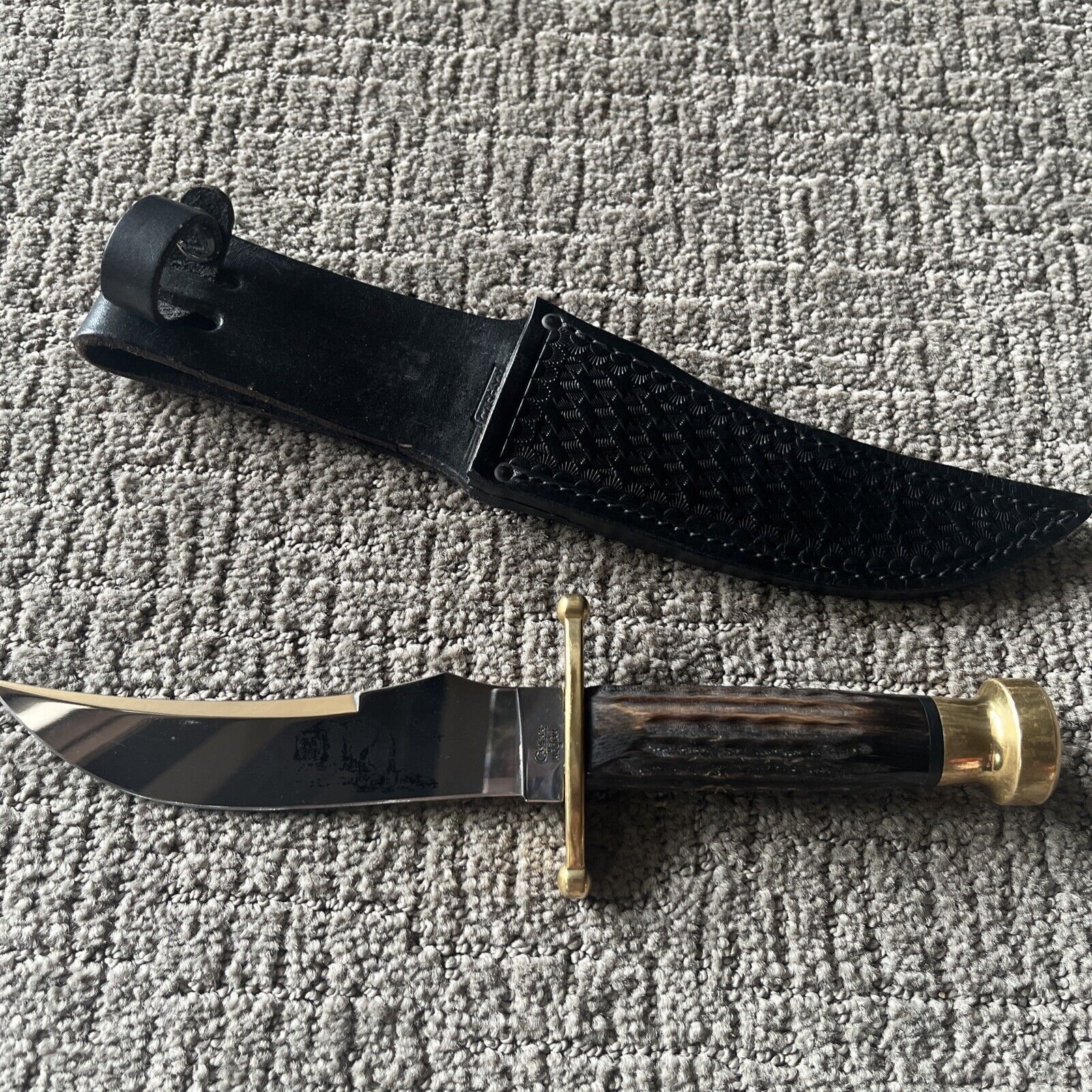 Case xx Kodiak Hunter Fixed Blade Knife Genuine Buffalo Horn 00395