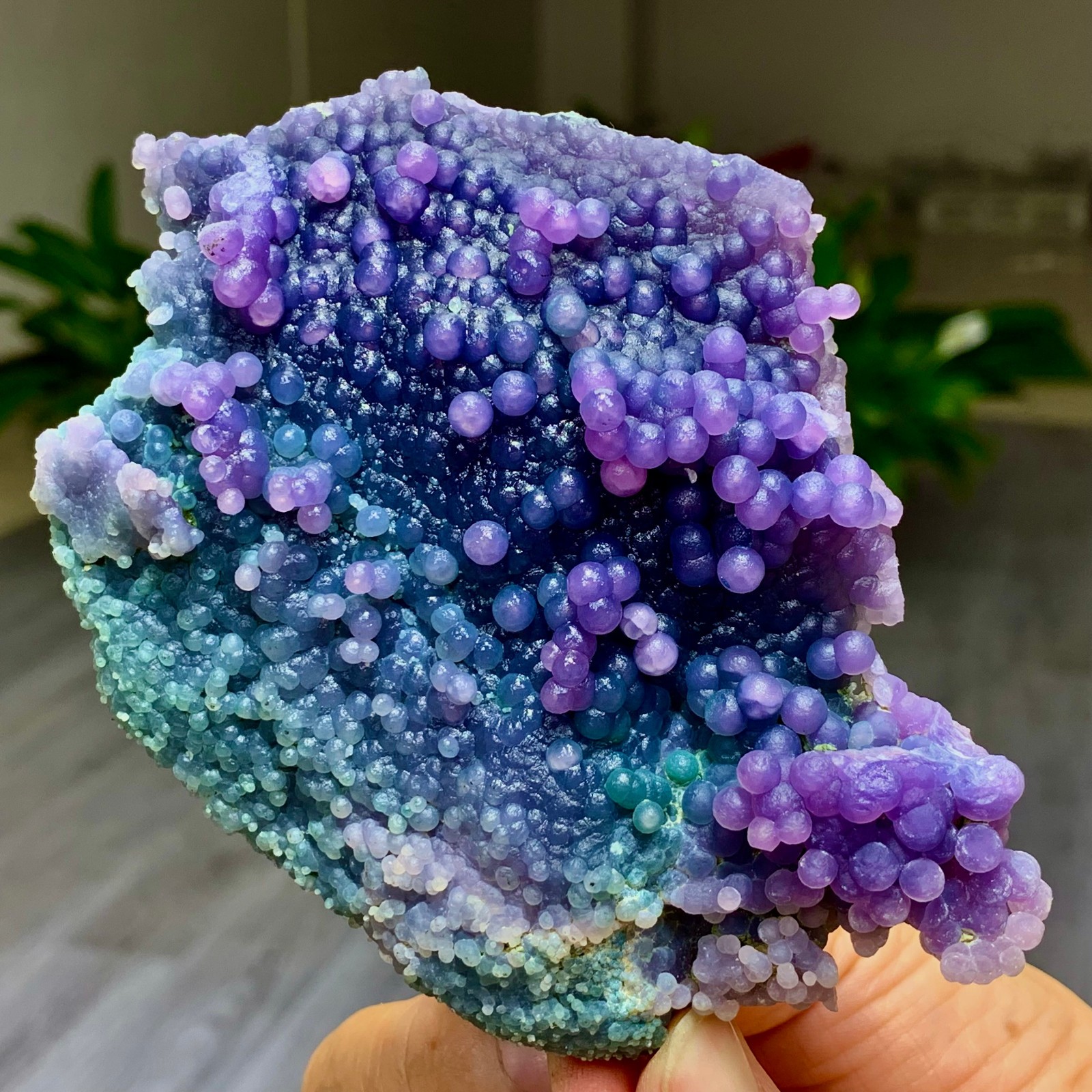 283G Natural purple grape agate quartz crystal granular mineral specimen