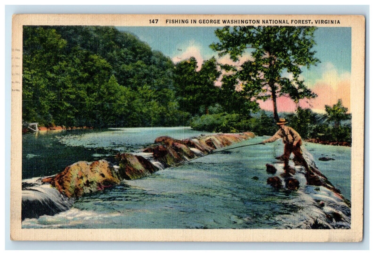 1946 Fishing In George Washington National Forest Virginia VA Vintage Postcard