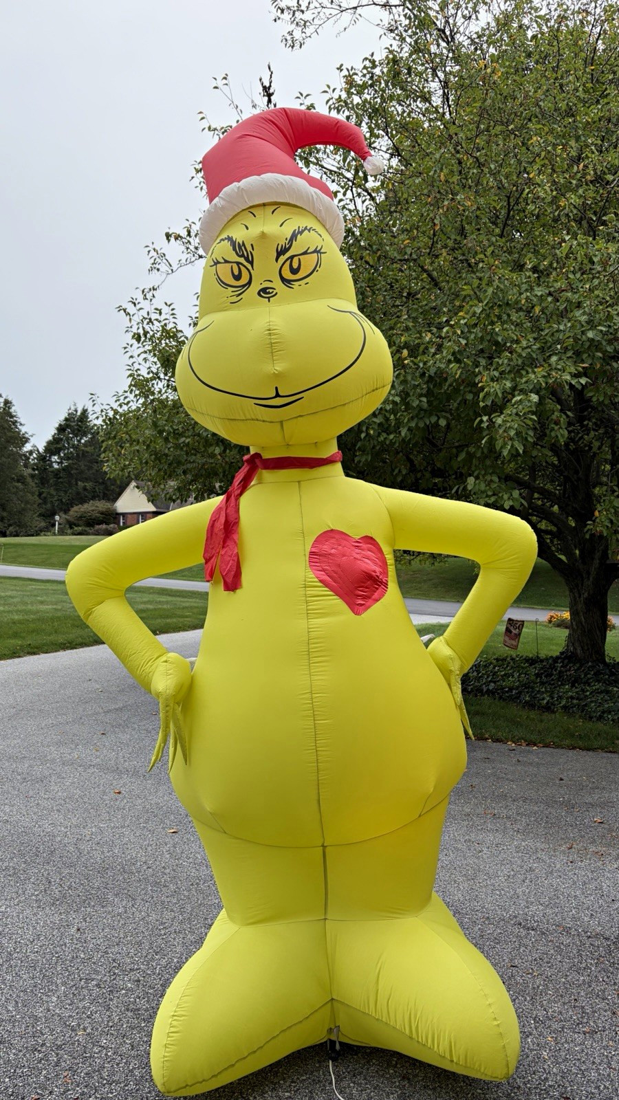 Gemmy 11ft Grinch with Animated Growing Heart Airblown Christmas Inflatable