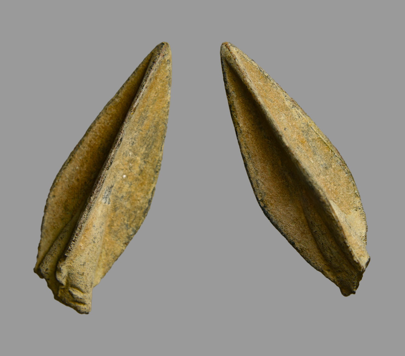 Roman Siege of Jerusalem Bronze Socketed Arrowhead 3.3cm c. 66-70 AD COA