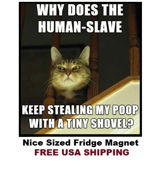 855 - Funny Cat Meme Fridge Refrigerator Magnet