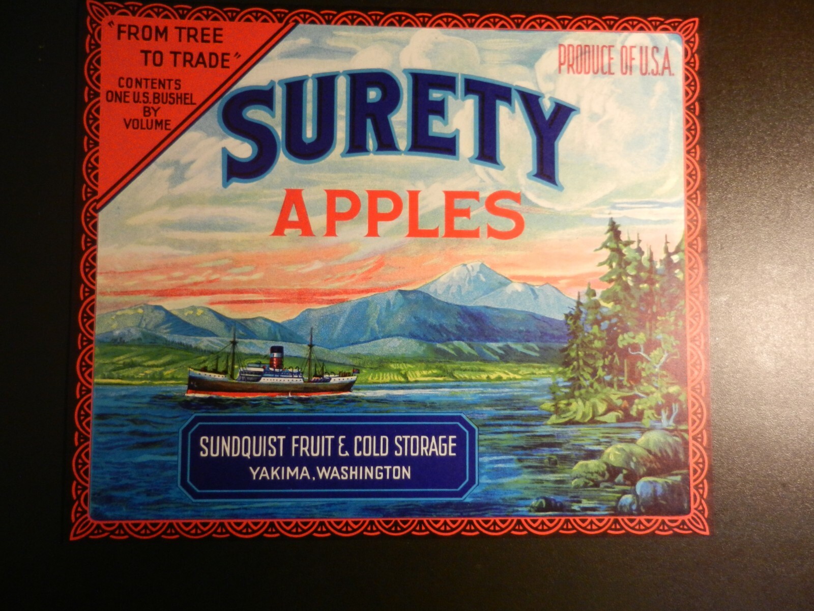 VINTAGE SURETY APPLES UNUSED LABEL.  Approx. 8 1/2\